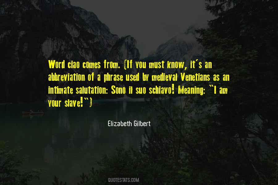 Pillossage Quotes #574764