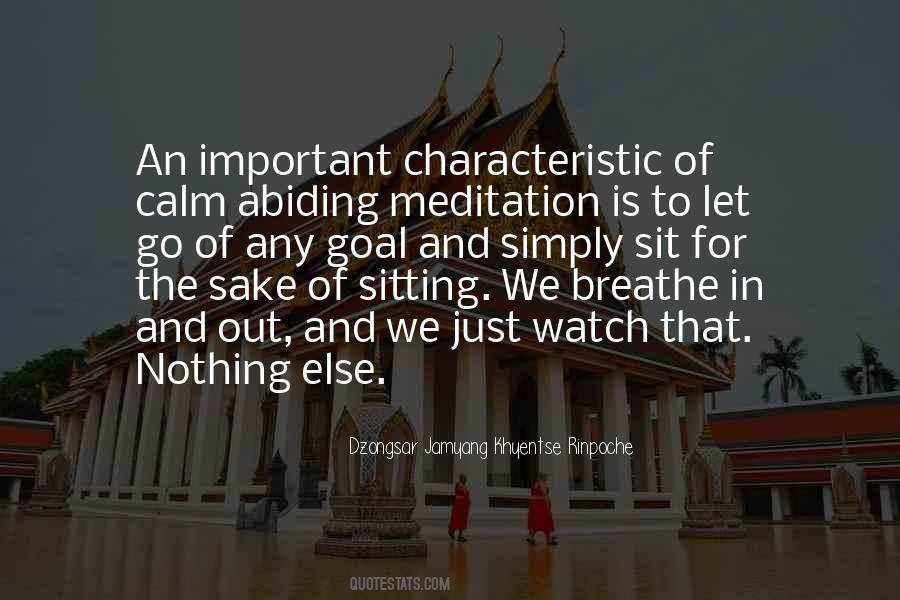 Rinpoche Meditation Quotes #1346801