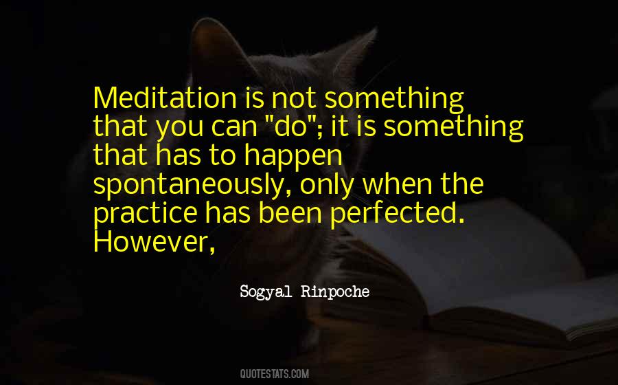 Rinpoche Meditation Quotes #1759544