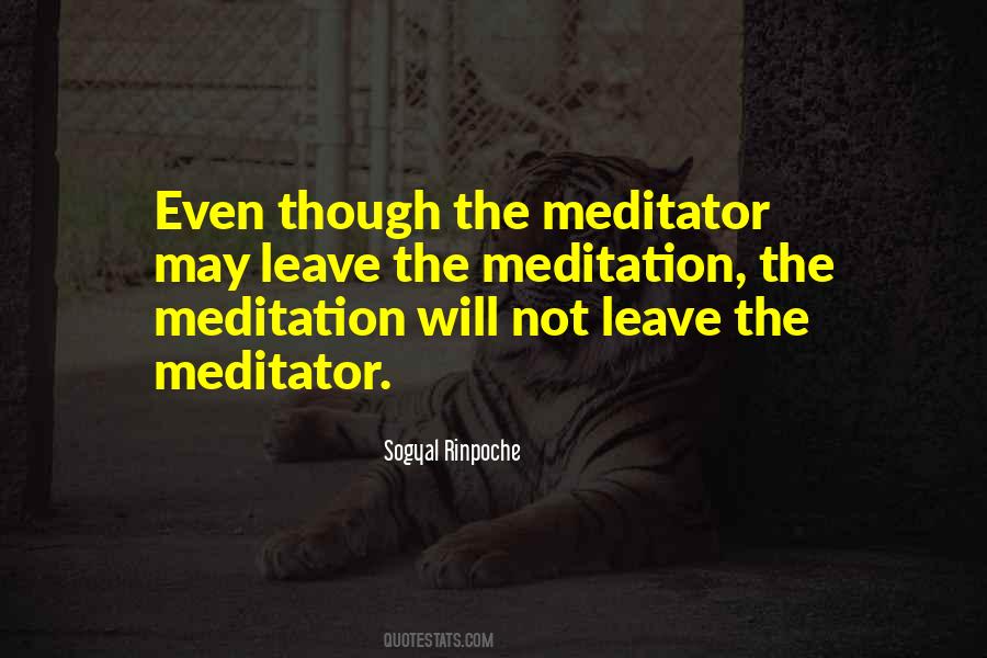 Rinpoche Meditation Quotes #1863984