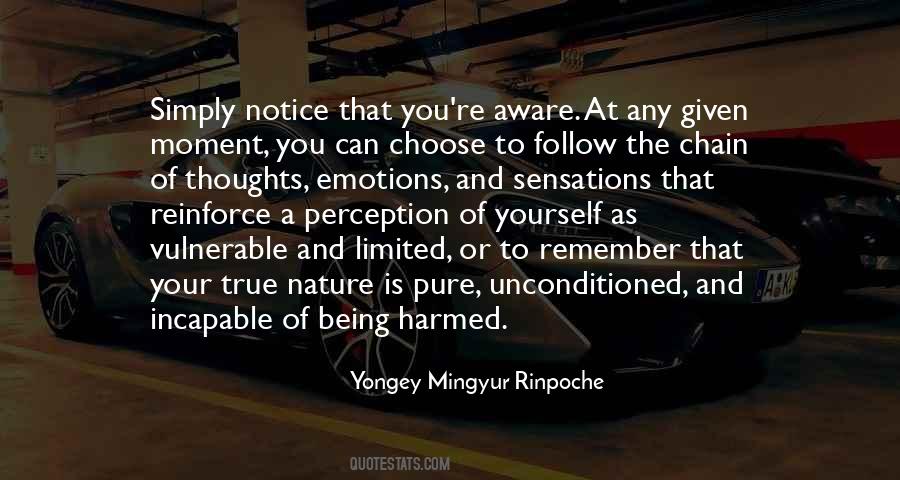 Rinpoche Meditation Quotes #193641