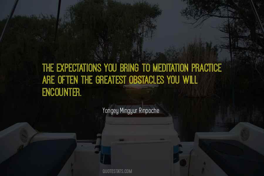 Rinpoche Meditation Quotes #354648