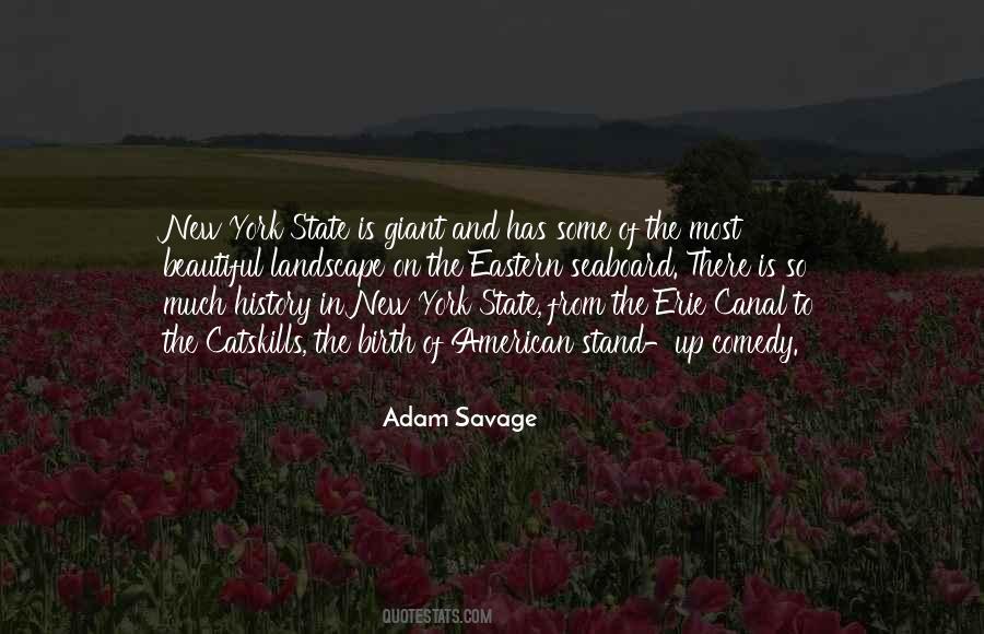 Best Stand Up Comedy Quotes #30939