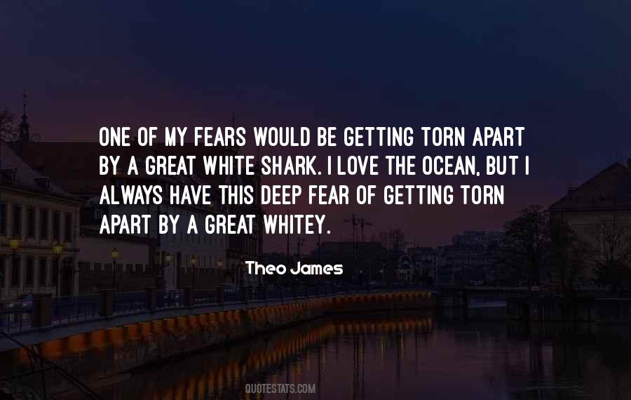 Love Torn Quotes #544830