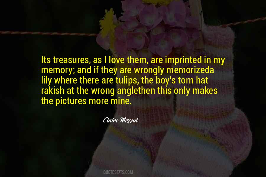 Love Torn Quotes #702027