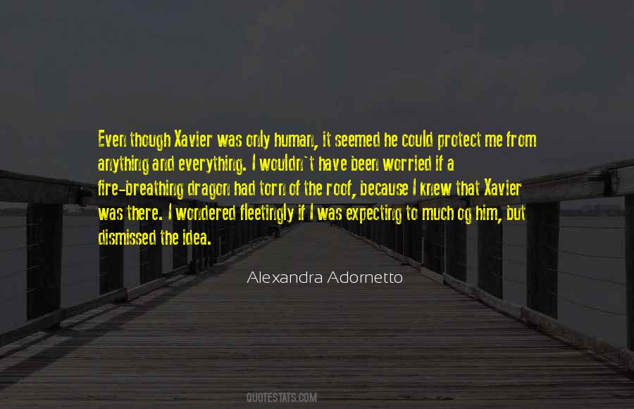Love Torn Quotes #776557