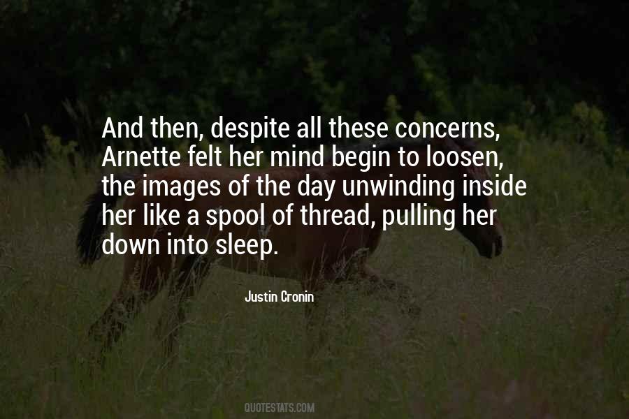 Unwinding Your Mind Quotes #185199