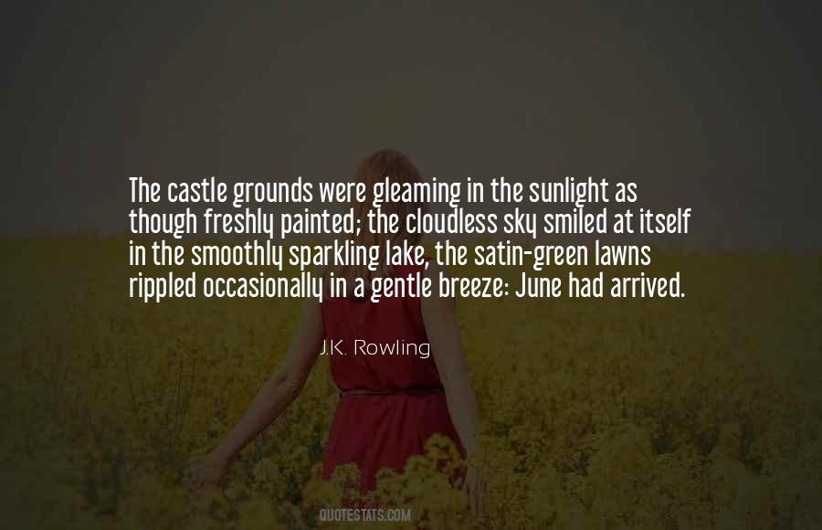 Castle In The Sky Quotes #1402766 Castle In The Sky Quotes #1402766