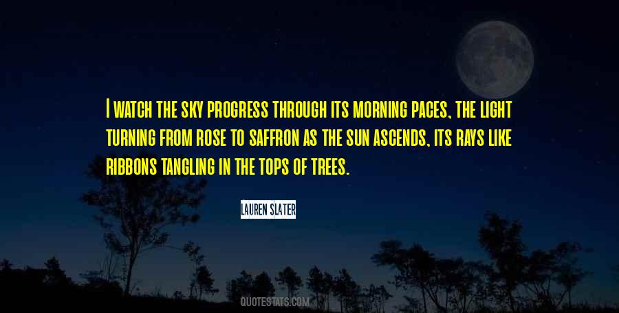 Sky In The Morning Quotes #1180764