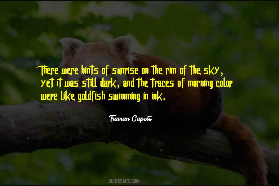 Sky In The Morning Quotes #503454
