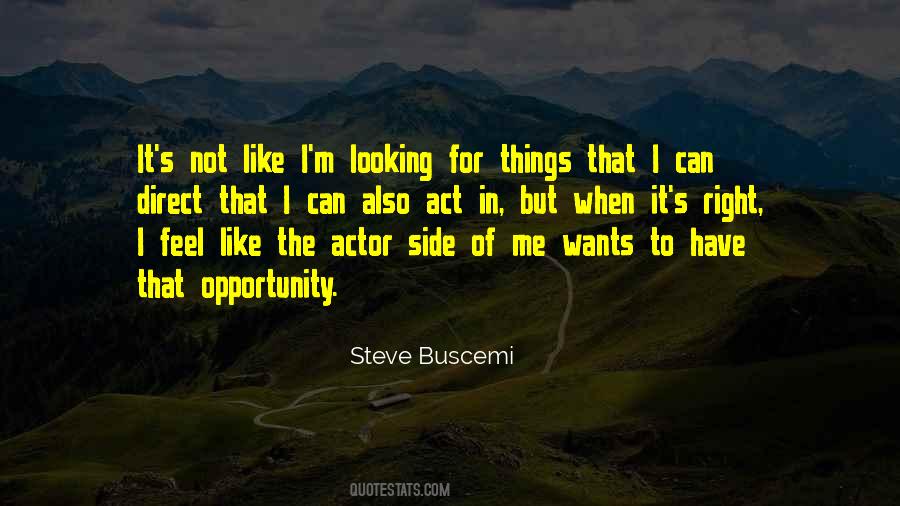Best Steve Buscemi Quotes #276362