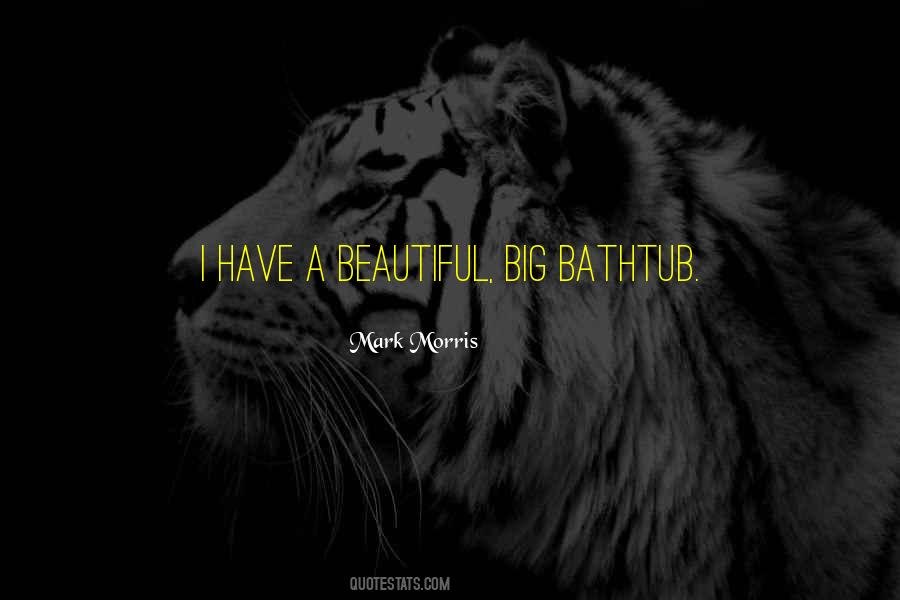 Brunsting David Quotes #1760579