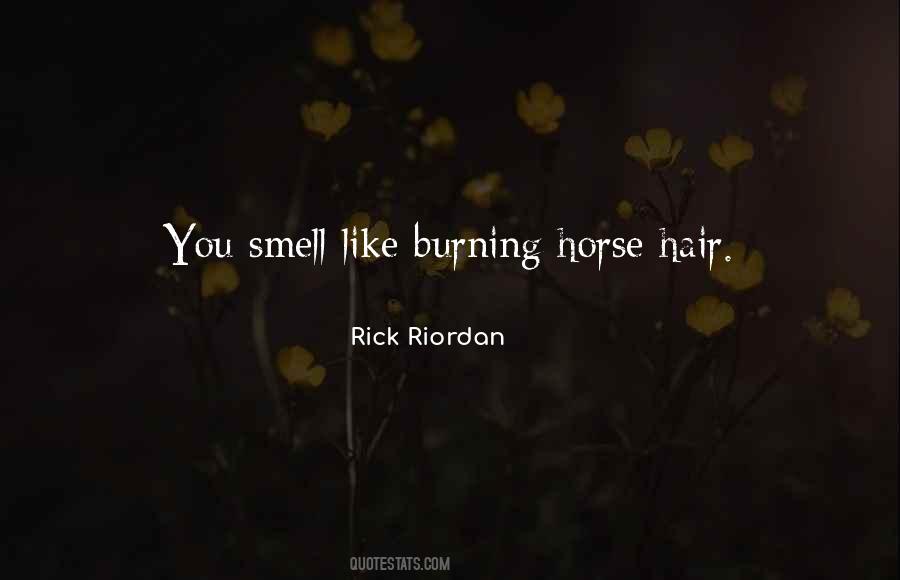 Kediden Pire Quotes #229027
