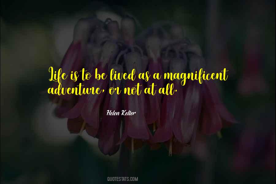 Be Magnificent Quotes #3375