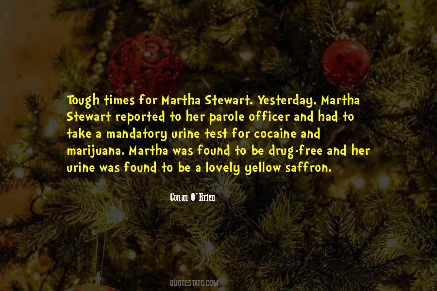 Salibian Plastic Surgery Quotes #967811
