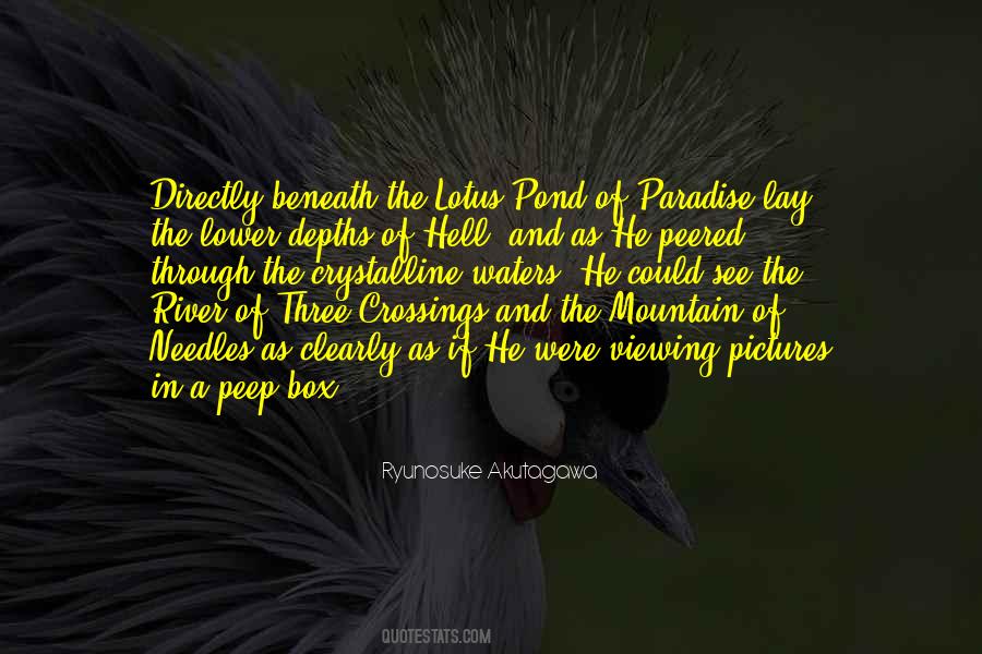Kemerton Camp Quotes #100374