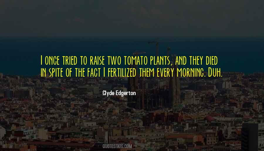 Best Tomato Quotes #340676