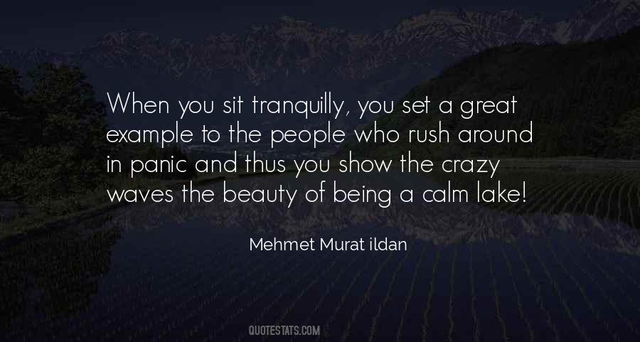 Best Top Of The Lake Quotes #14225