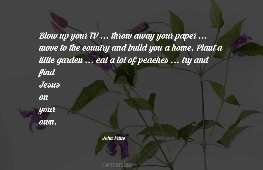 Build A Home Quotes #565411