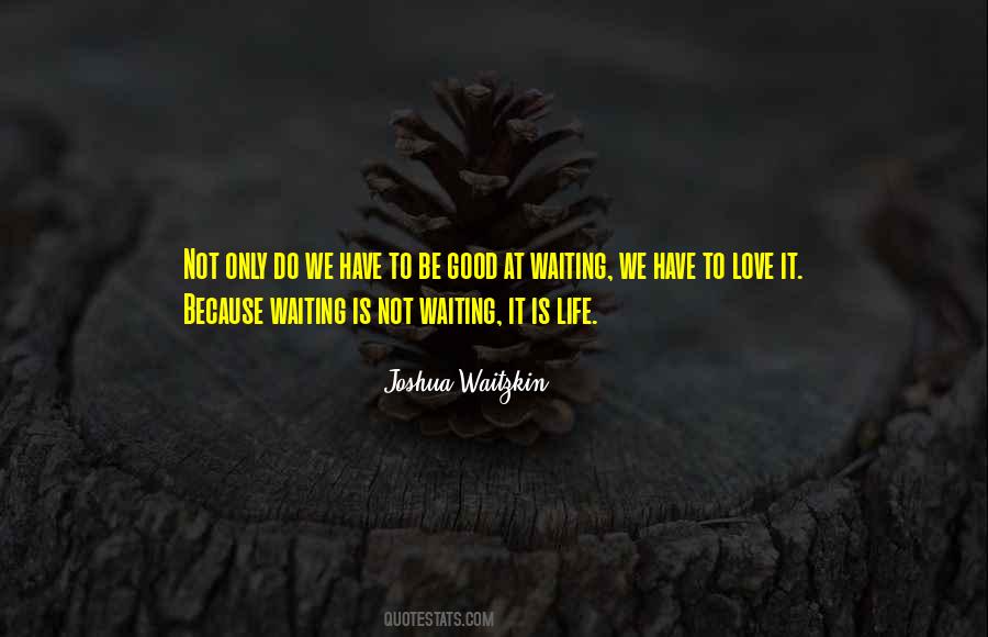 Waitzkin Joshua Quotes #1382751