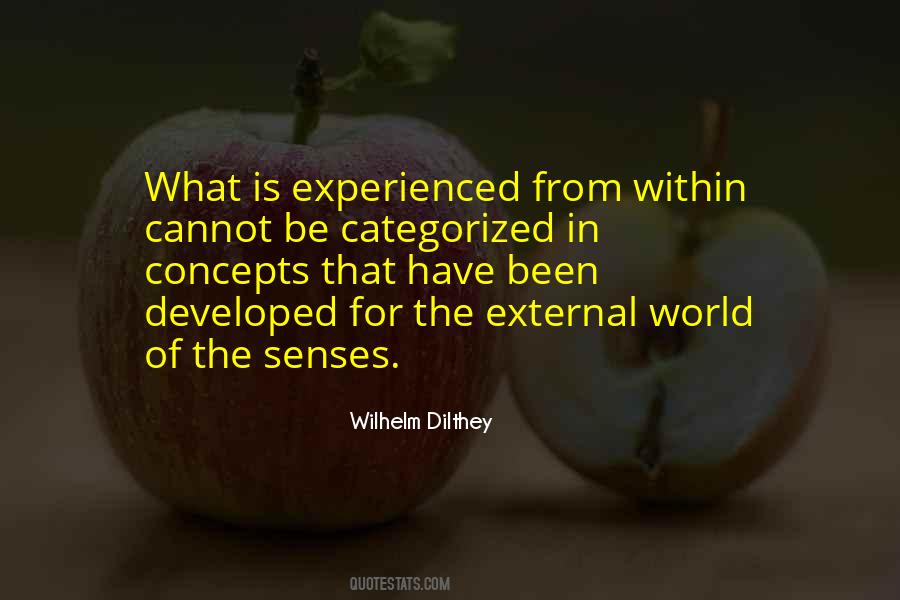 Dilthey Wilhelm Quotes #638261