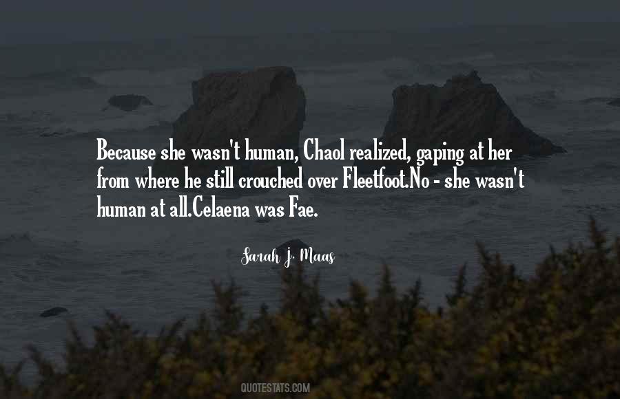 Fleetfoot Sarah Quotes #314602