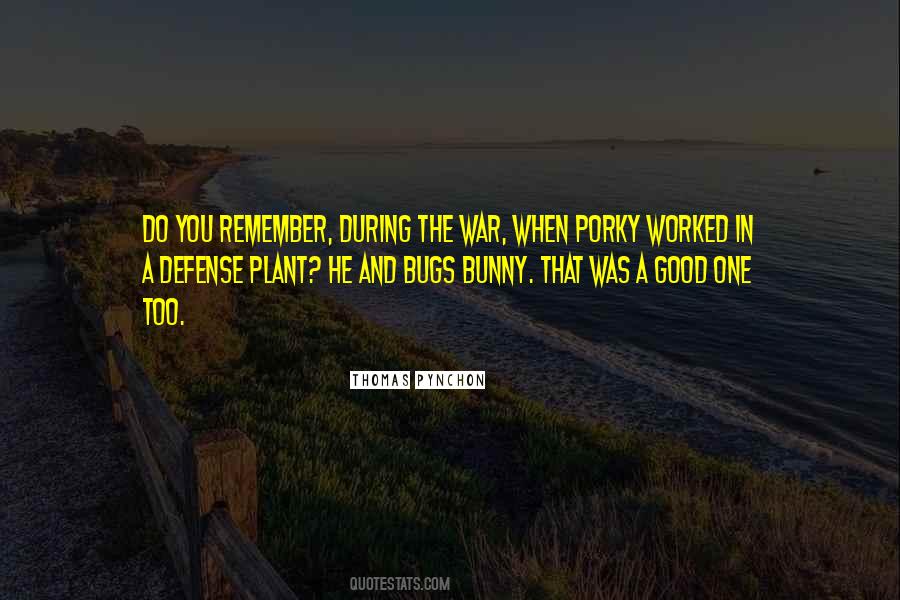 During The War Quotes #1607787