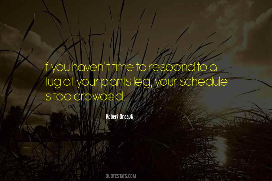 Your Schedule Quotes #492180