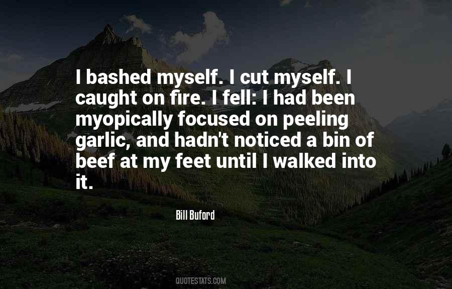 Sanitas Shoes Quotes #413238