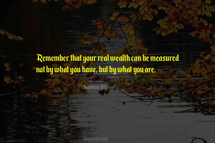 Wealth Is Not Measured Quotes #1832652