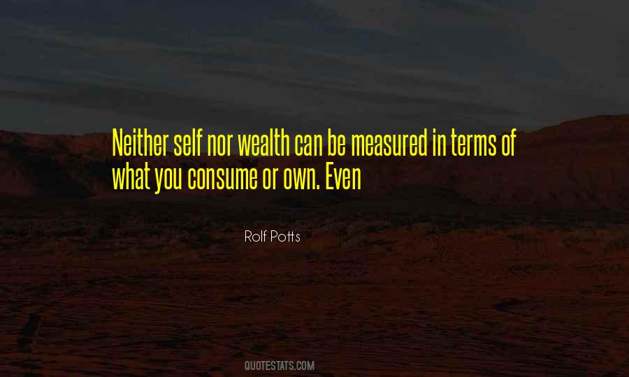 Wealth Is Not Measured Quotes #921898