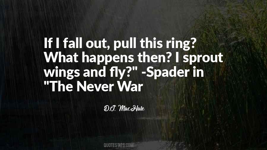 Heidinger Plumbing Quotes #479120