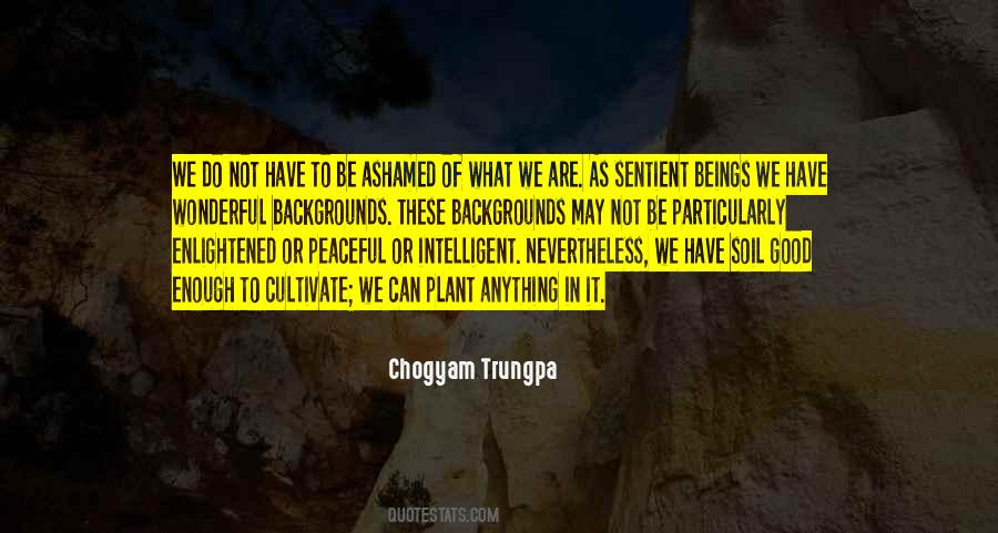 Asmussen And Creswell Quotes #1059206