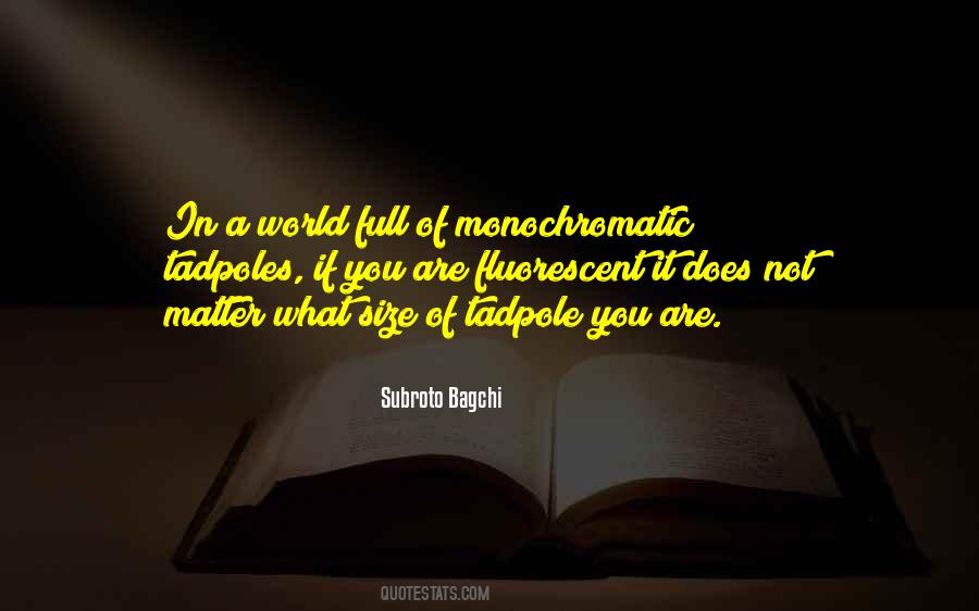Kashino Maru Quotes #425663