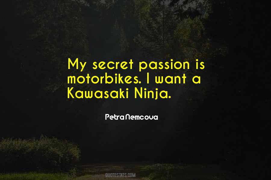 Nemcova Quotes #708041