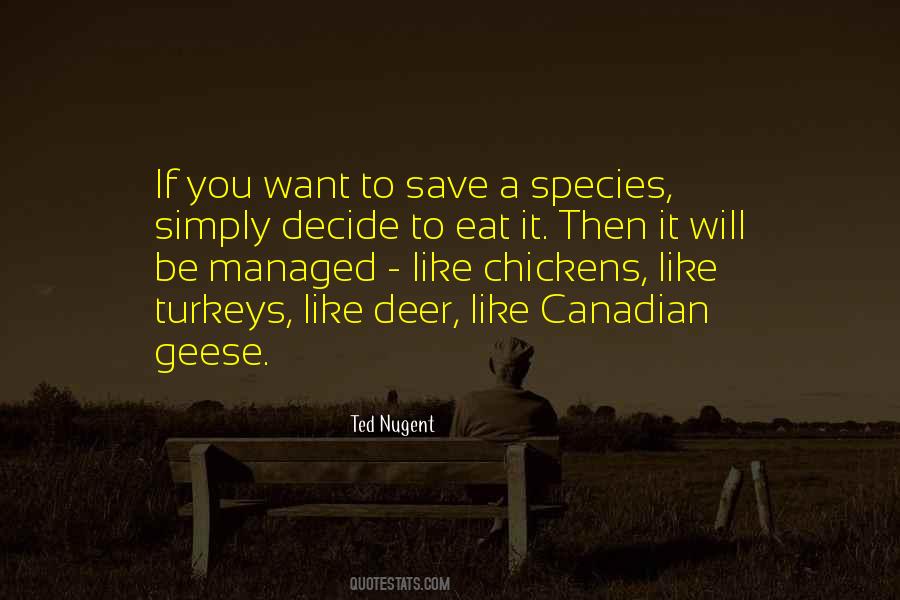 Avispon Asiatico Quotes #1174798