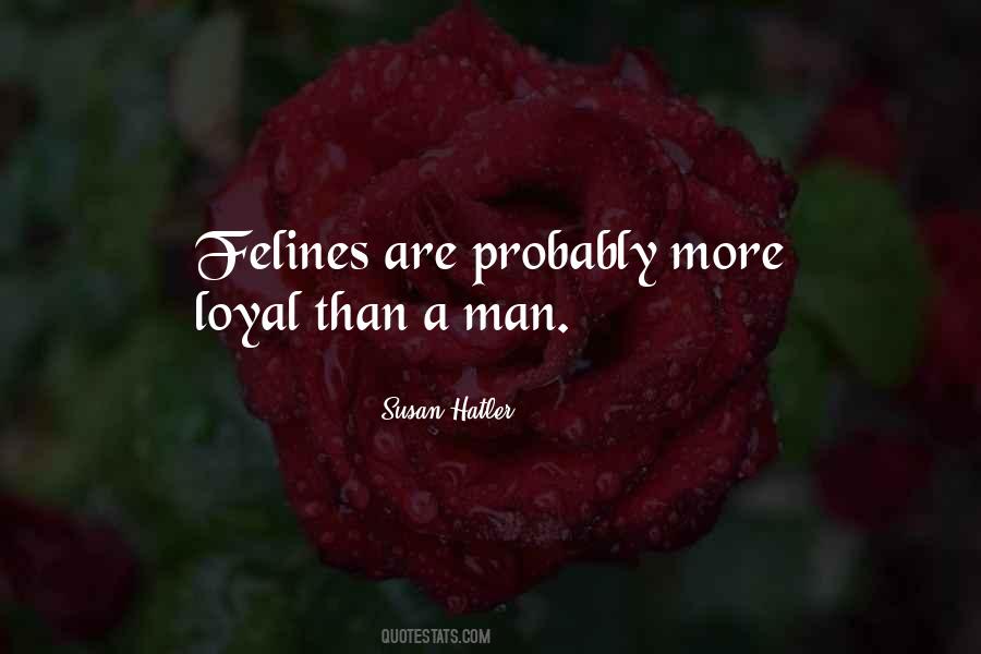 Sanhaji Fadi7a Quotes #1612138