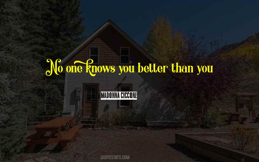 Better Than You Know Quotes #82034