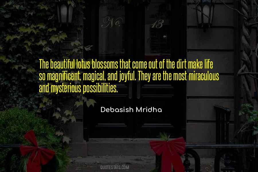 Mysterious Possibilities Quotes #1105391
