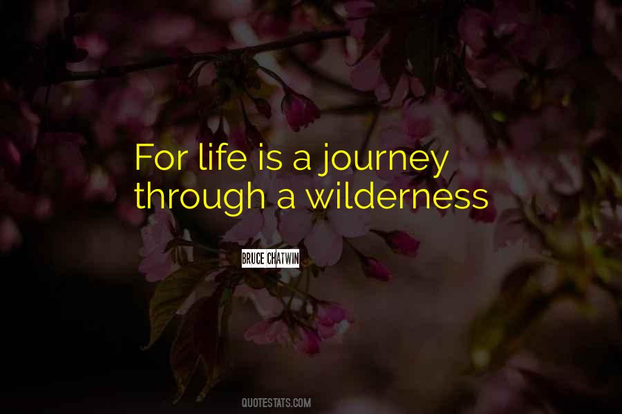 Panatta Sk Quotes #1721271