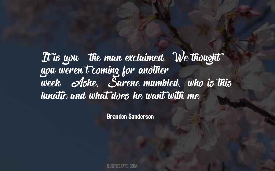 Swingley Baseball Quotes #1429071