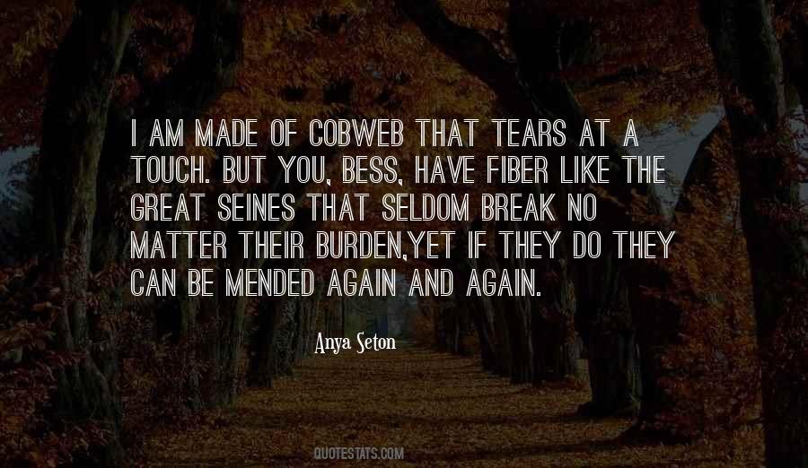 Foyers Falls Quotes #617872