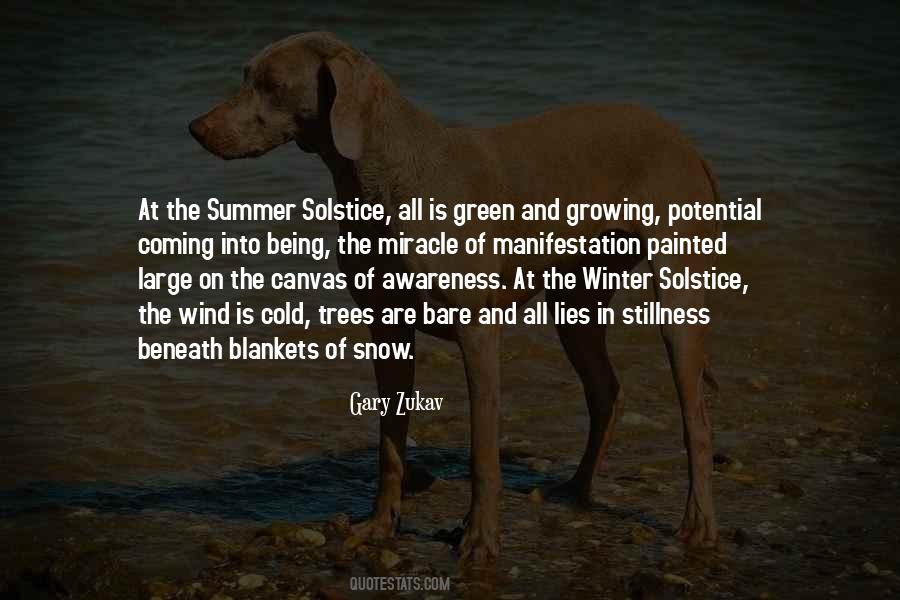 Quotes About The Summer Solstice #652669
