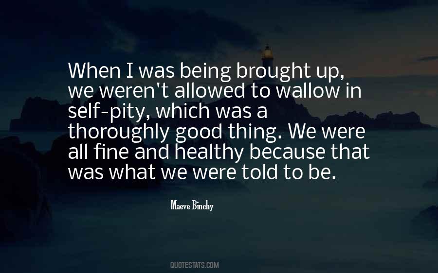 Looking In The Wrong Direction Quotes #1871190