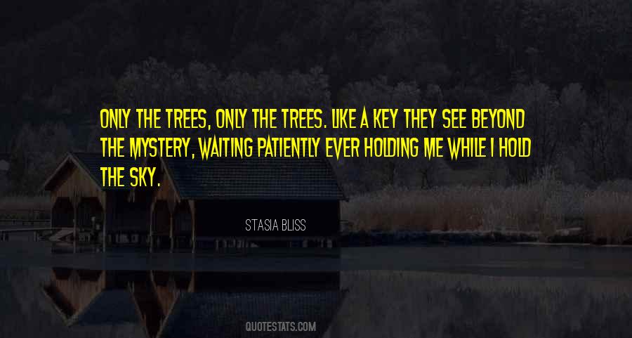 Beyond The Sky Quotes #1173427