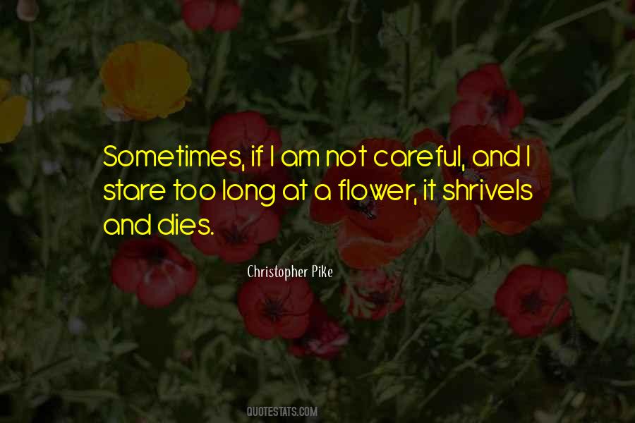 Sjors Creatief Quotes #467563