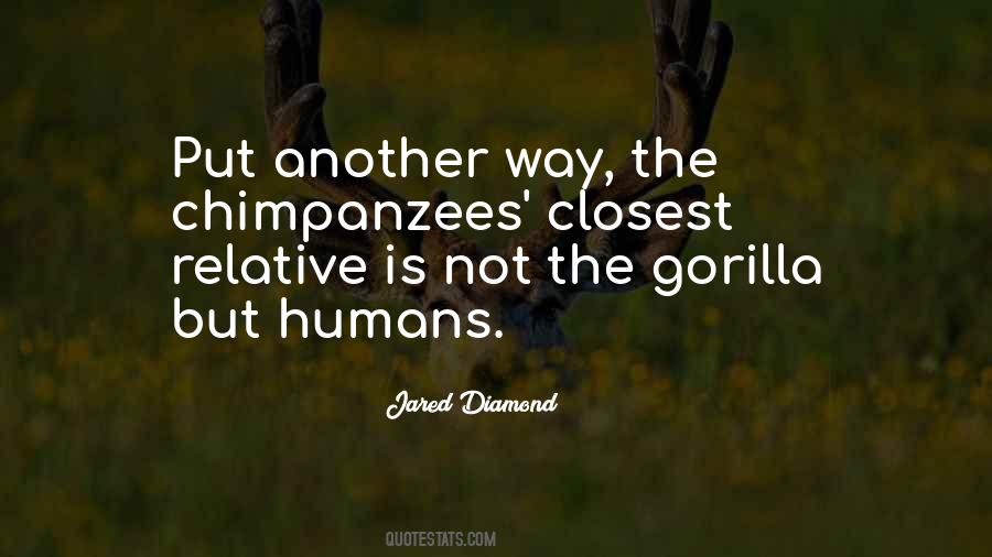Volelis Quotes #544820