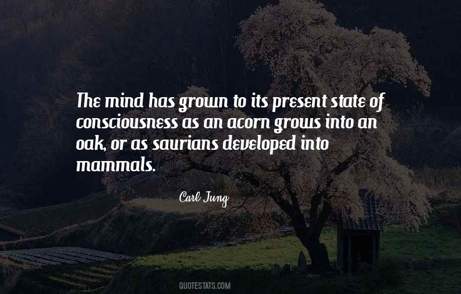 Starich Education Quotes #917306