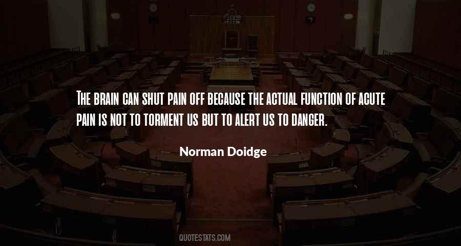 Doidge Norman Quotes #1531680