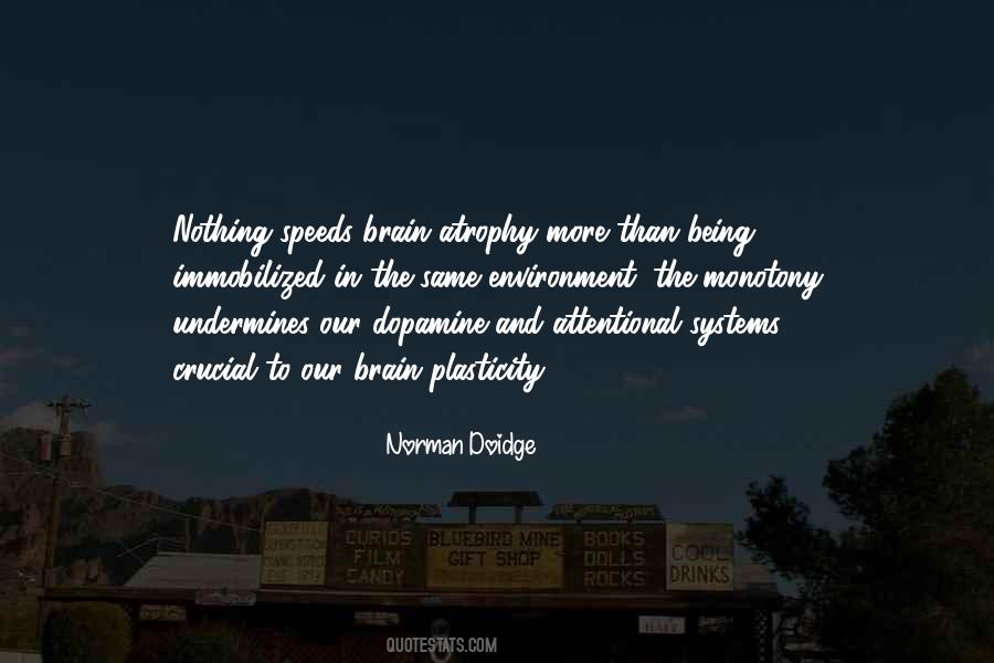 Doidge Norman Quotes #1665640
